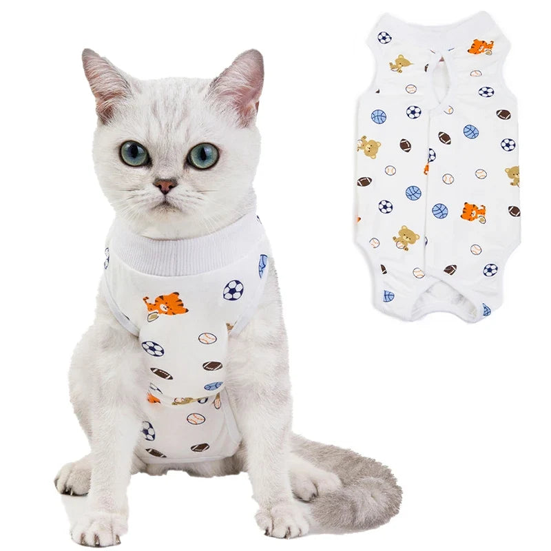Cat Surgery Recovery - MyPetDollar.com