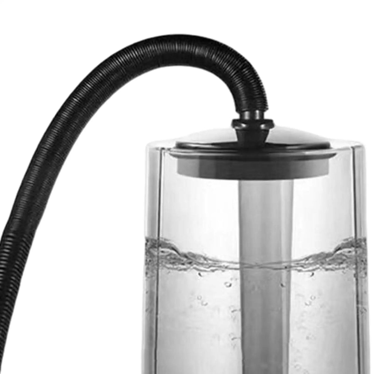 Reptile Mister Humidifier Terrarium for - MyPetDollar.com