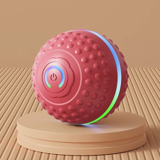 USB Rechargeable Smart Dog Toys Automatic - MyPetDollar.com