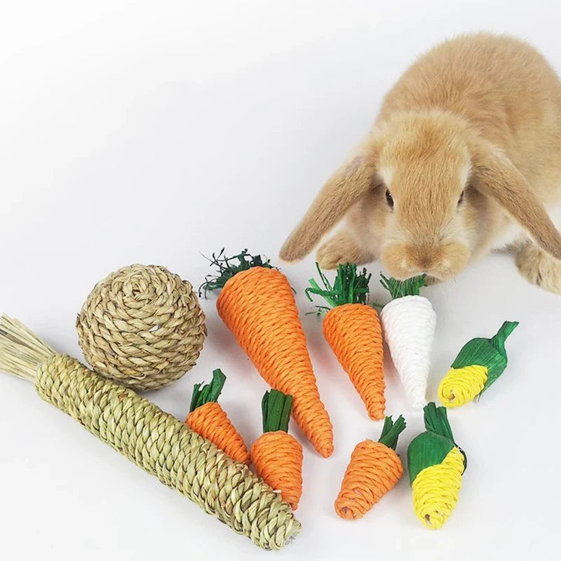 Hamster Rabbit Chew Toy Bite Grind Teeth - MyPetDollar.com