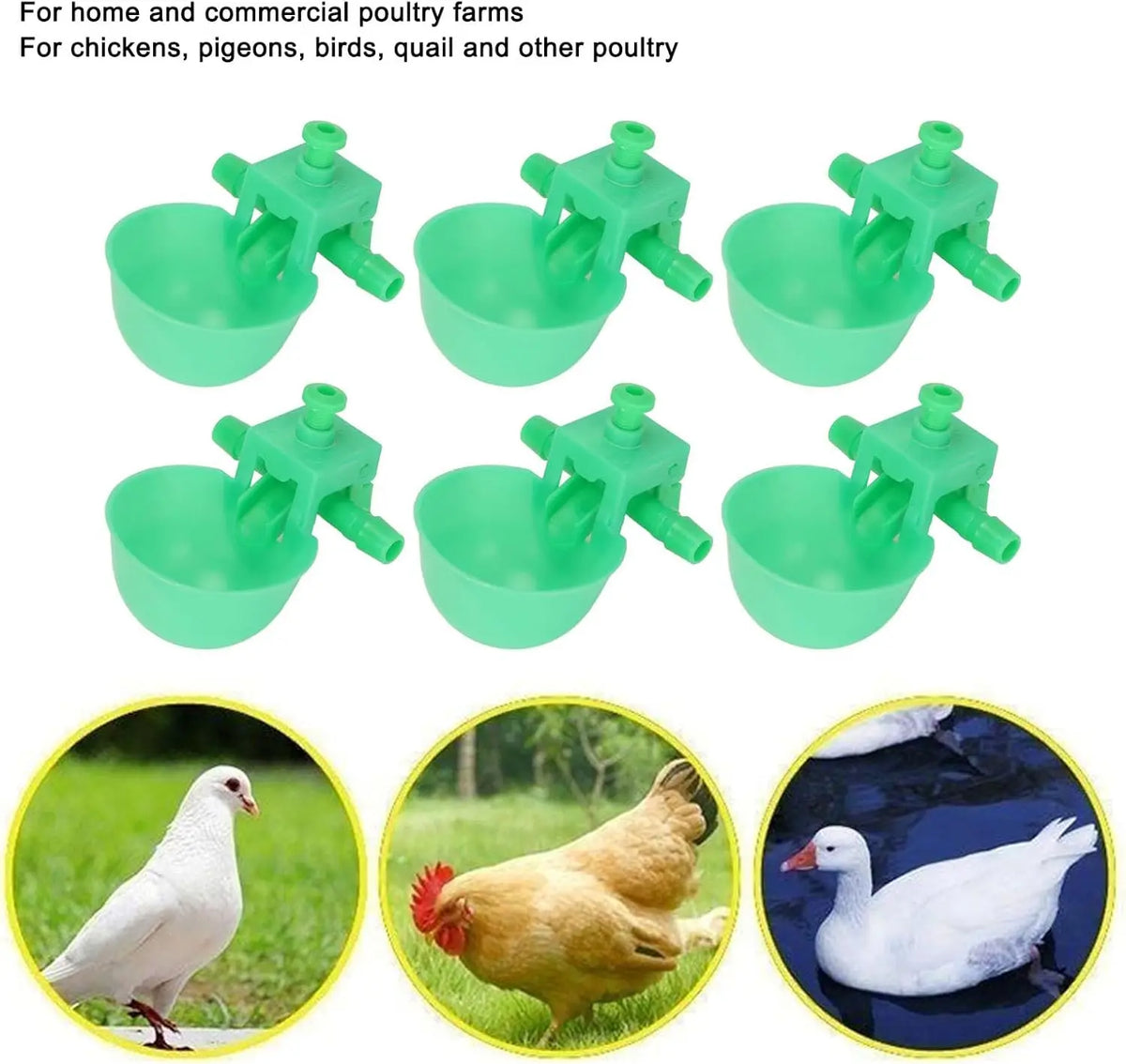5- Green Chicken Waterer Automatic Drinking Dish – Livestock Feeders & Waterers