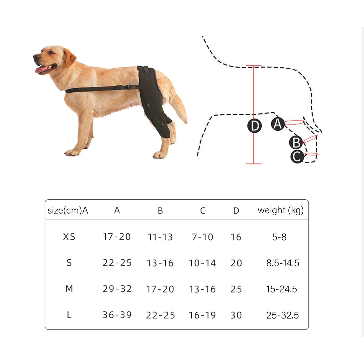 Pet Dog Hind Legs Protector Adjustable Knee - MyPetDollar.com