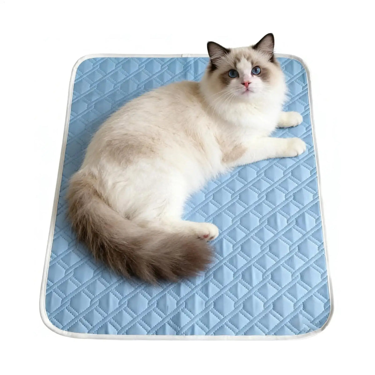Cooling Pet Mat Breathable Washable Summer - MyPetDollar.com