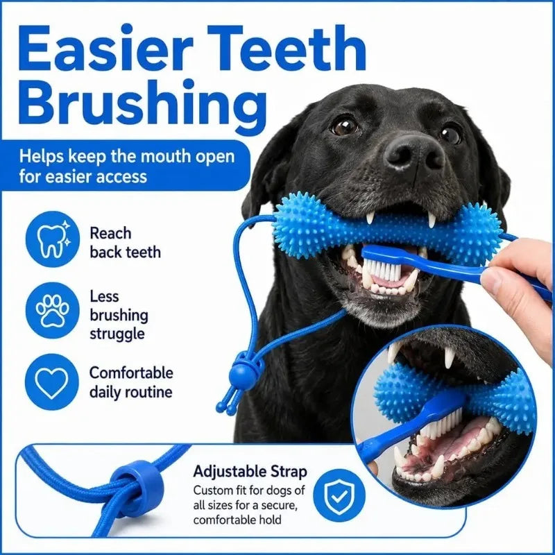 Dual-Action Canine Dental Prop Dog Dental - MyPetDollar.com