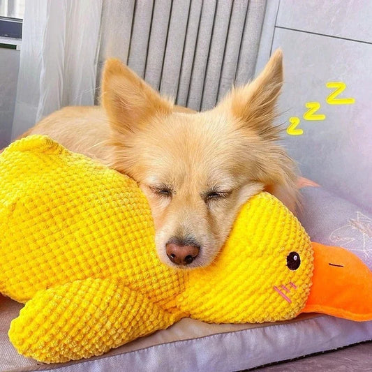 Bite Resistant Plush Dog Toy Duck Shape - MyPetDollar.com