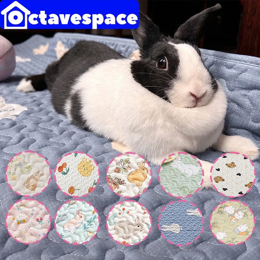 Custom Rabbit Floor Mat Pet Sofa Cushion - MyPetDollar.com
