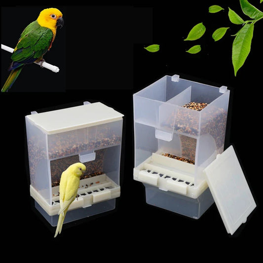 Removable Feeder Pet Bird Container Parrot - MyPetDollar.com