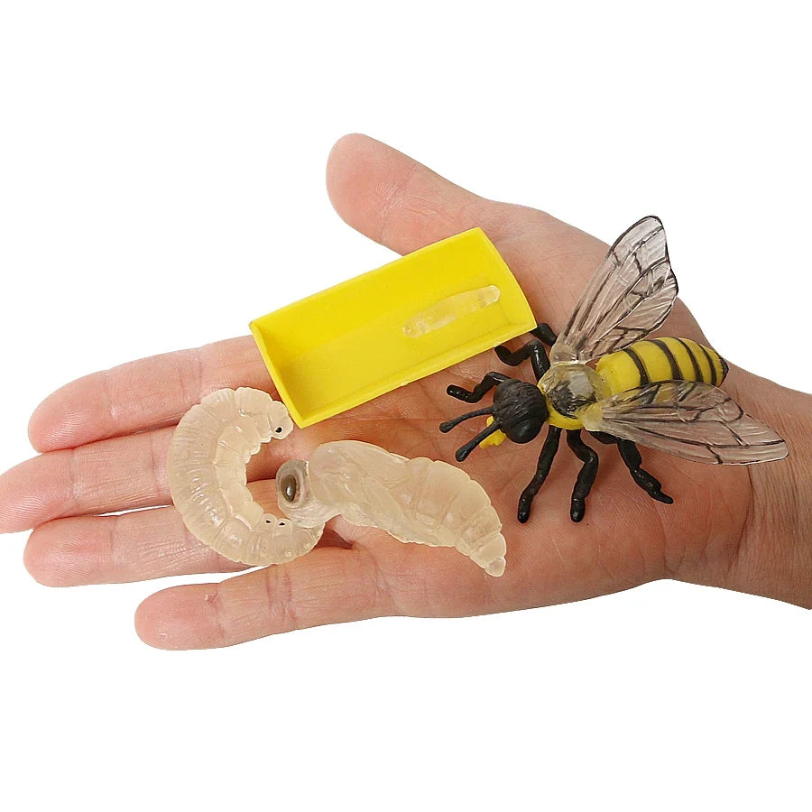 Realistic Insect Grasshopper Mosquito Cicad - MyPetDollar.com