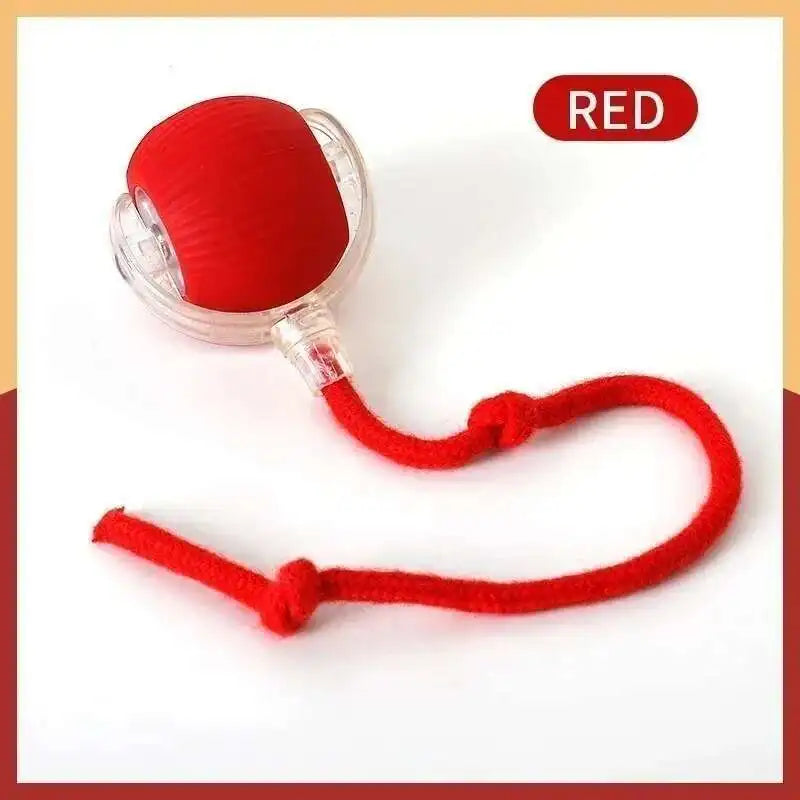 Smart Dog Toy Ball – 11 Colors