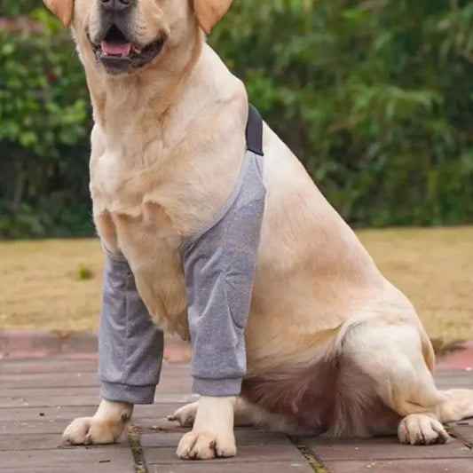 Pet Knee Pads for Joint Injury Recovery Legs - MyPetDollar.com