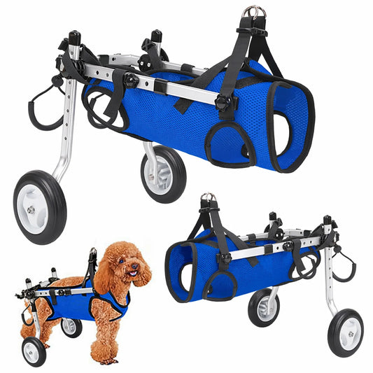 Pet Hind Leg Rehabilitation Assistance - MyPetDollar.com