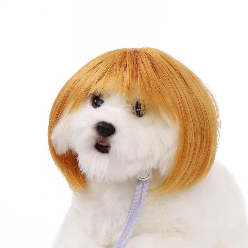 Pet Wig Dog And Cat Spoof Wig Pet Supplies - MyPetDollar.com