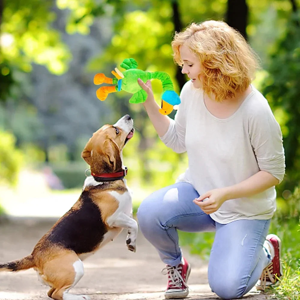 1Pcs Pets Dog Toys Screaming Chicken Sound - MyPetDollar.com