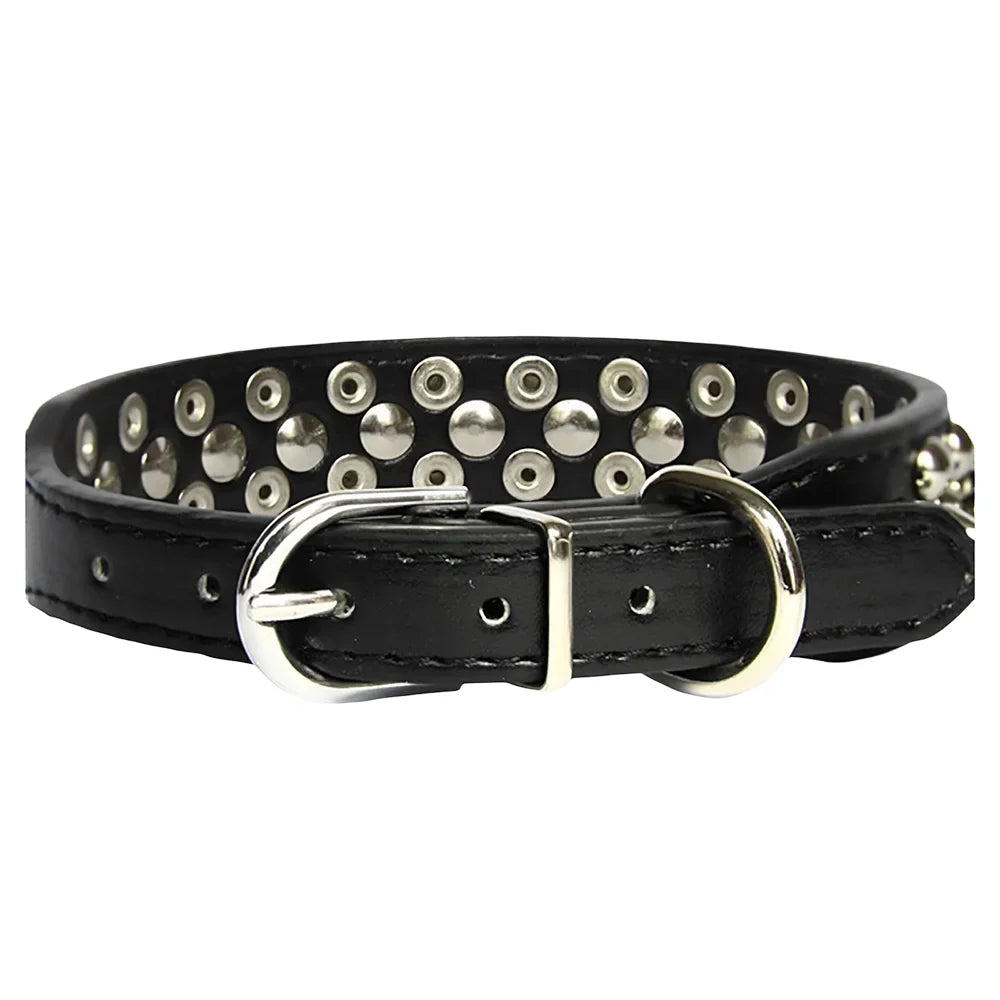 Pet Anti-Chew Collar, Studded Dog Collar for - MyPetDollar.com