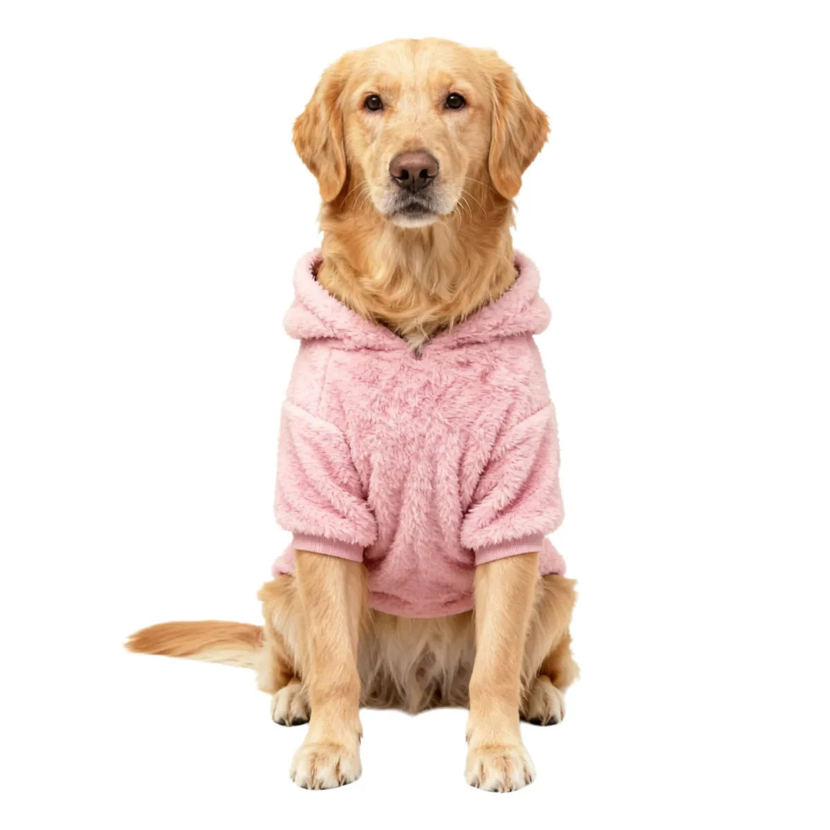 Labrador Golden Retriever Clothing Winter - MyPetDollar.com