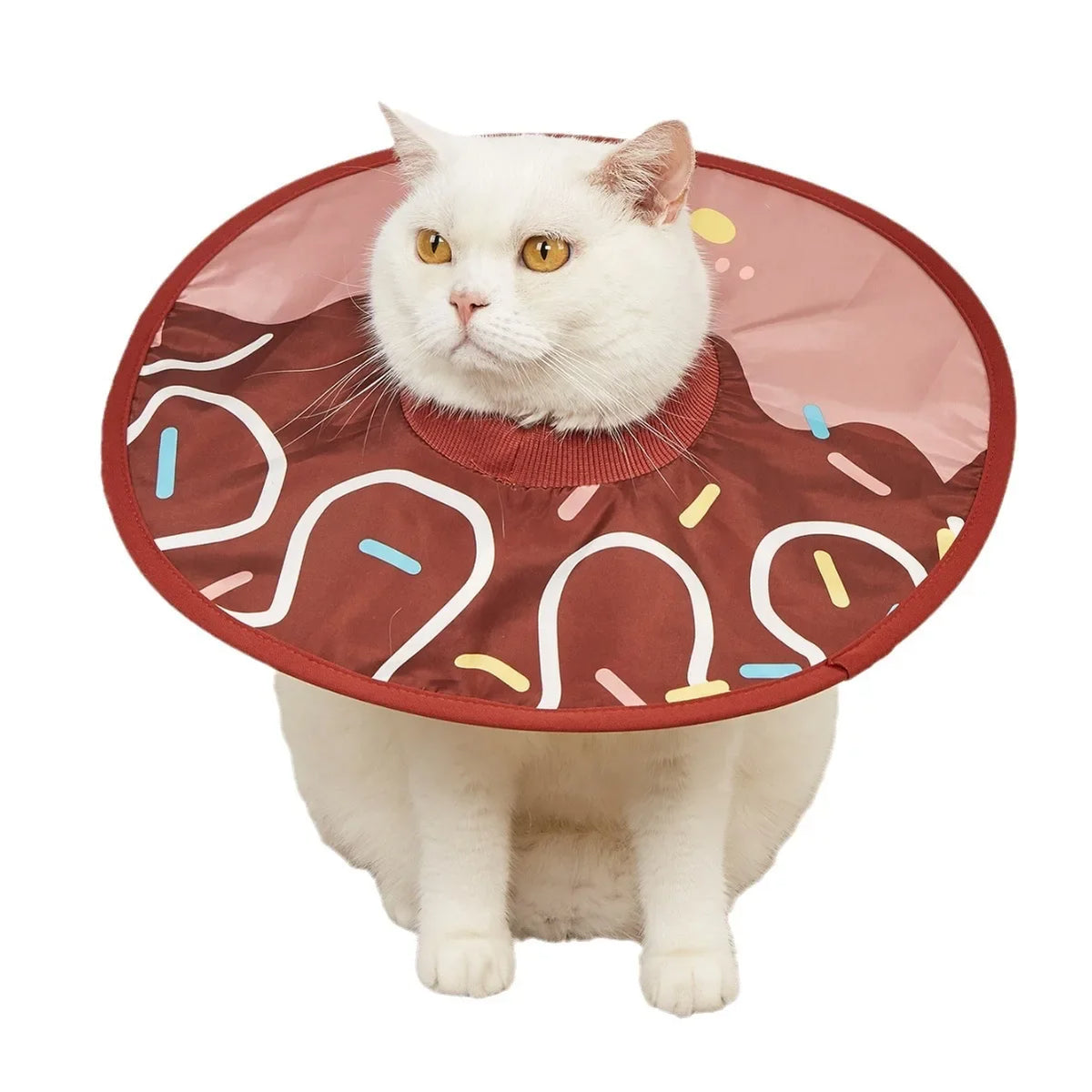 New Elizabethan Collar, Stylish and - MyPetDollar.com