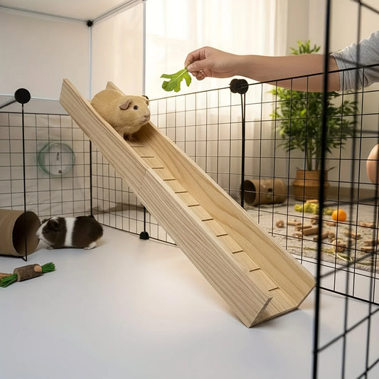 1 Piece of Accessory, Color and Style - MyPetDollar.com