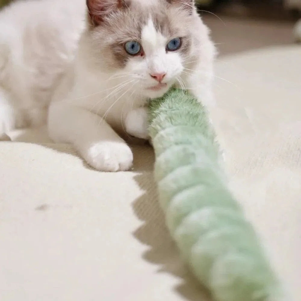 Caterpillar Cat Chew Bite-Proof - MyPetDollar.com
