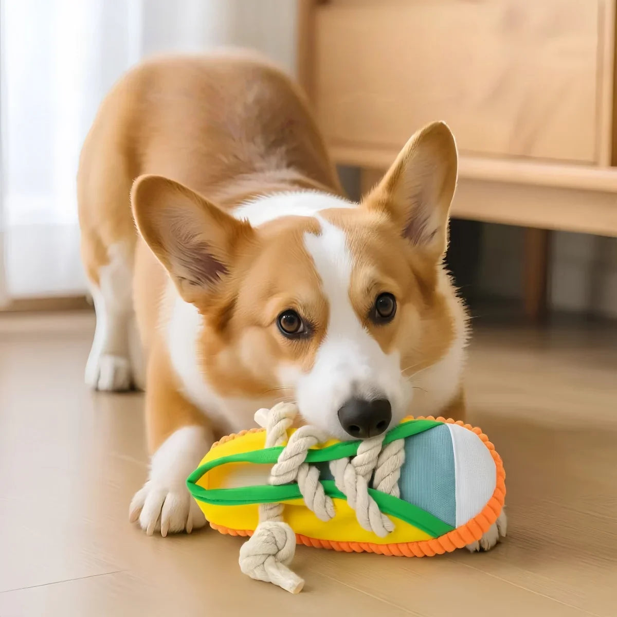 Dog Chewing Toy Squeaky Bite Resistant - MyPetDollar.com