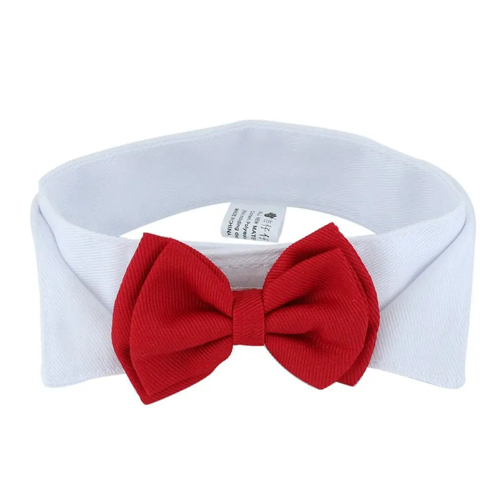 Adjustable Pet Bow Tie Collar - Cute Dog & Cat Necktie – Dog Supplies