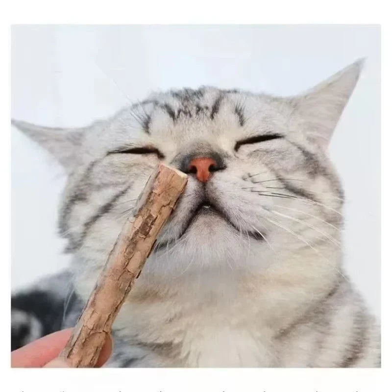 Natural Silver Vine Chew Sticks Catnip Molar - MyPetDollar.com