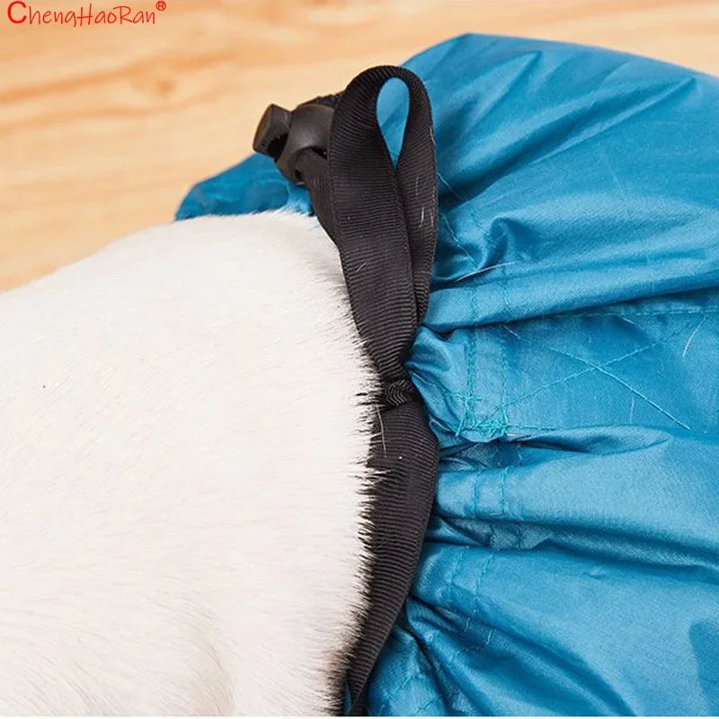 1Pc Pet Drying Bag Hair Dryer For Cats And - MyPetDollar.com