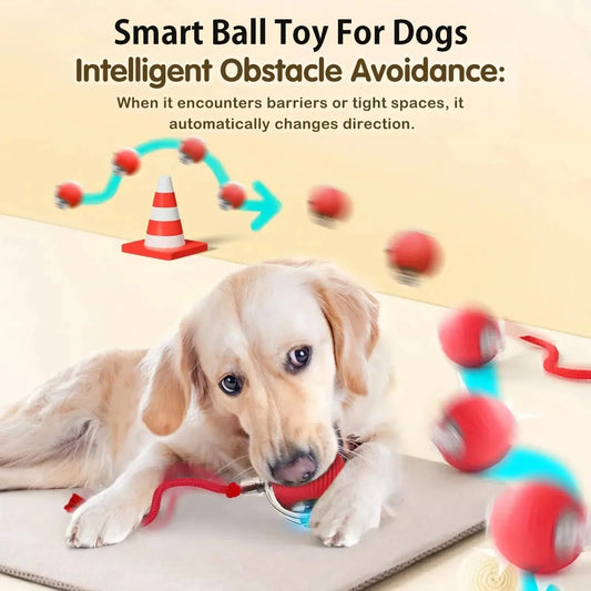 Dog Interactive Ball Toy Automatic Rolling - MyPetDollar.com