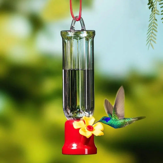 Hummingbird Feeders Plastic Transparent - MyPetDollar.com