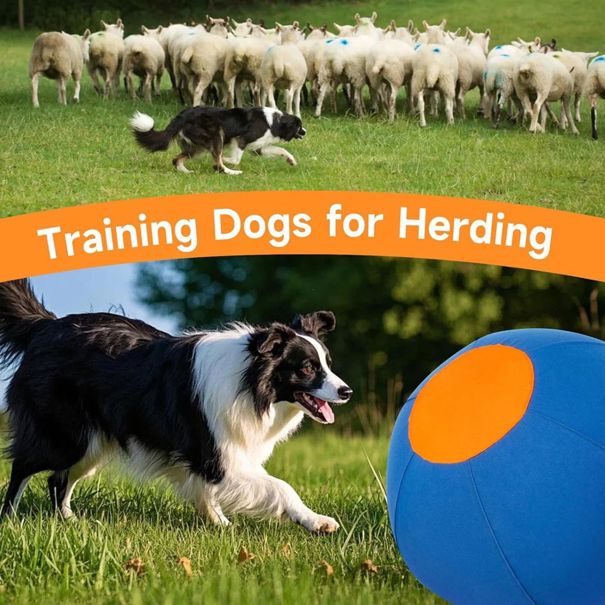 Herding Ball for Dogs with Protective Cover - MyPetDollar.com
