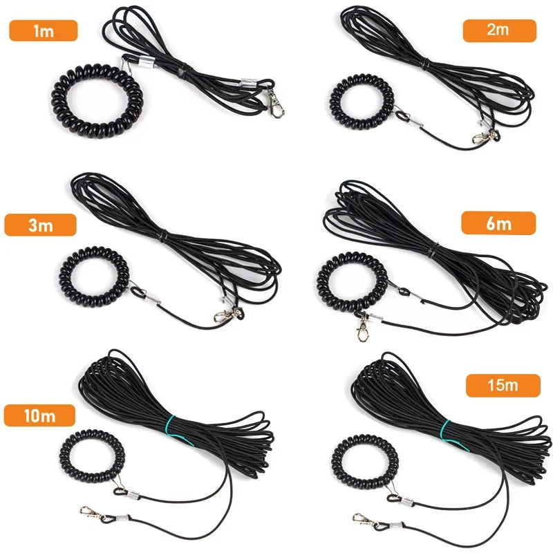 2M-10M Pet Bird Outdoor Training Harness - MyPetDollar.com