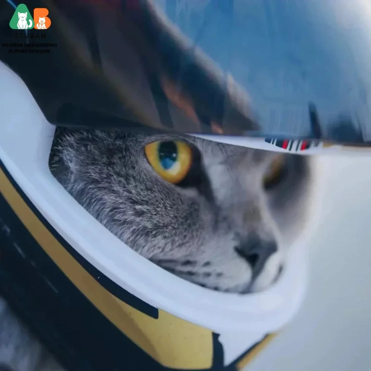 ATUBAN Pet Motorcycle Helmet, Puppy Cat - MyPetDollar.com