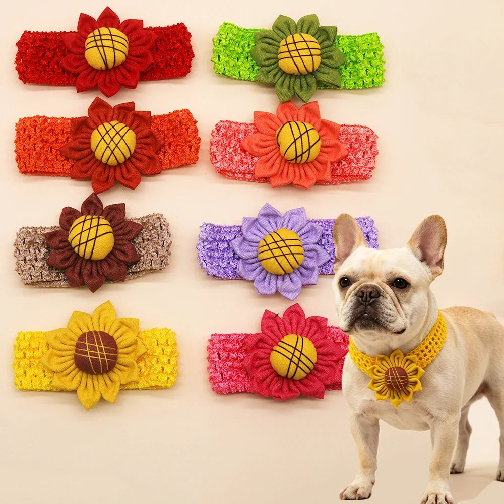 30/50 Cute Sunflower Knit Pet Collar Soft - MyPetDollar.com