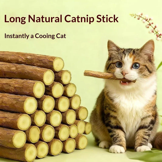 Natural Woodruff Cat Chew Stick Catnip Molar - MyPetDollar.com