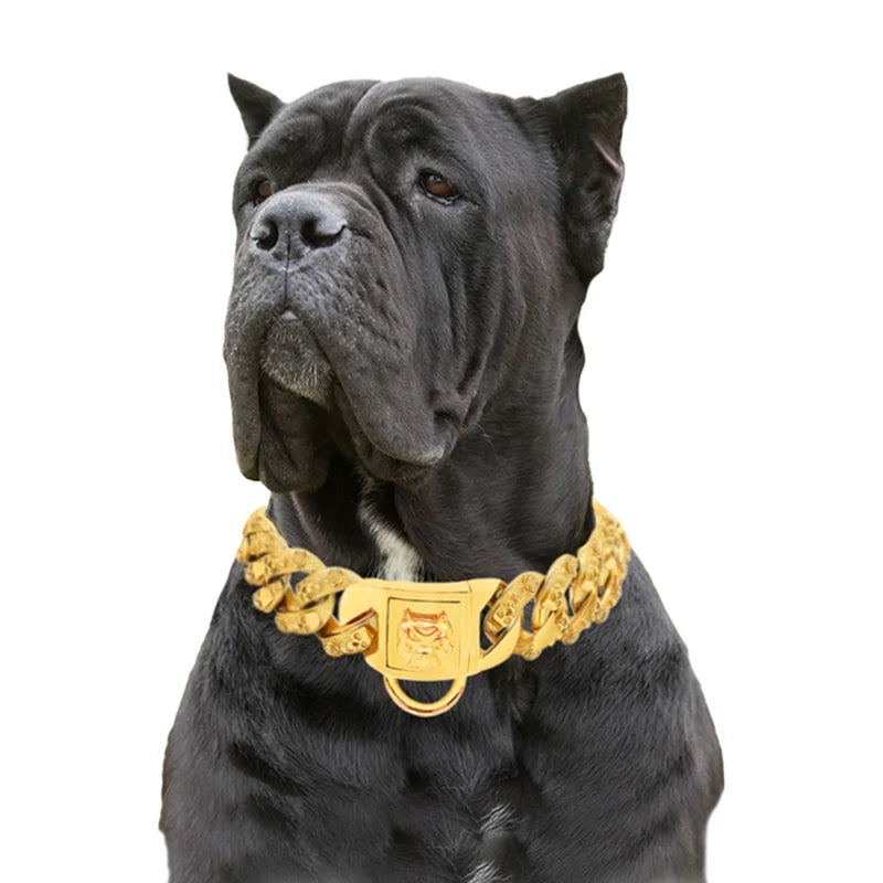 Metal Collar for Large Dog Gold Silver Pet - MyPetDollar.com