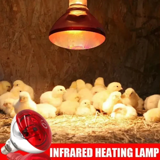 1PC 100W/150W/200W/250W/275W Farm Thermal - MyPetDollar.com