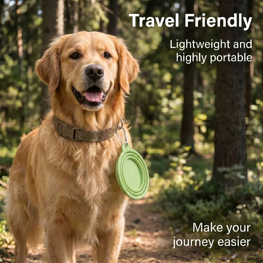 350ml/1000ml Collapsible Dog Bowl Outdoor - MyPetDollar.com