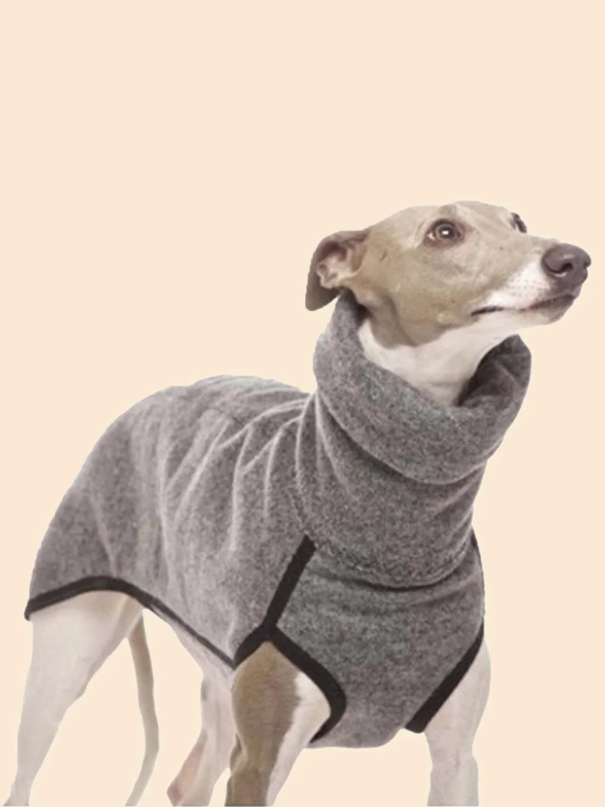 Greyhound Clothes, Dog Winter Coat Pajamas - MyPetDollar.com