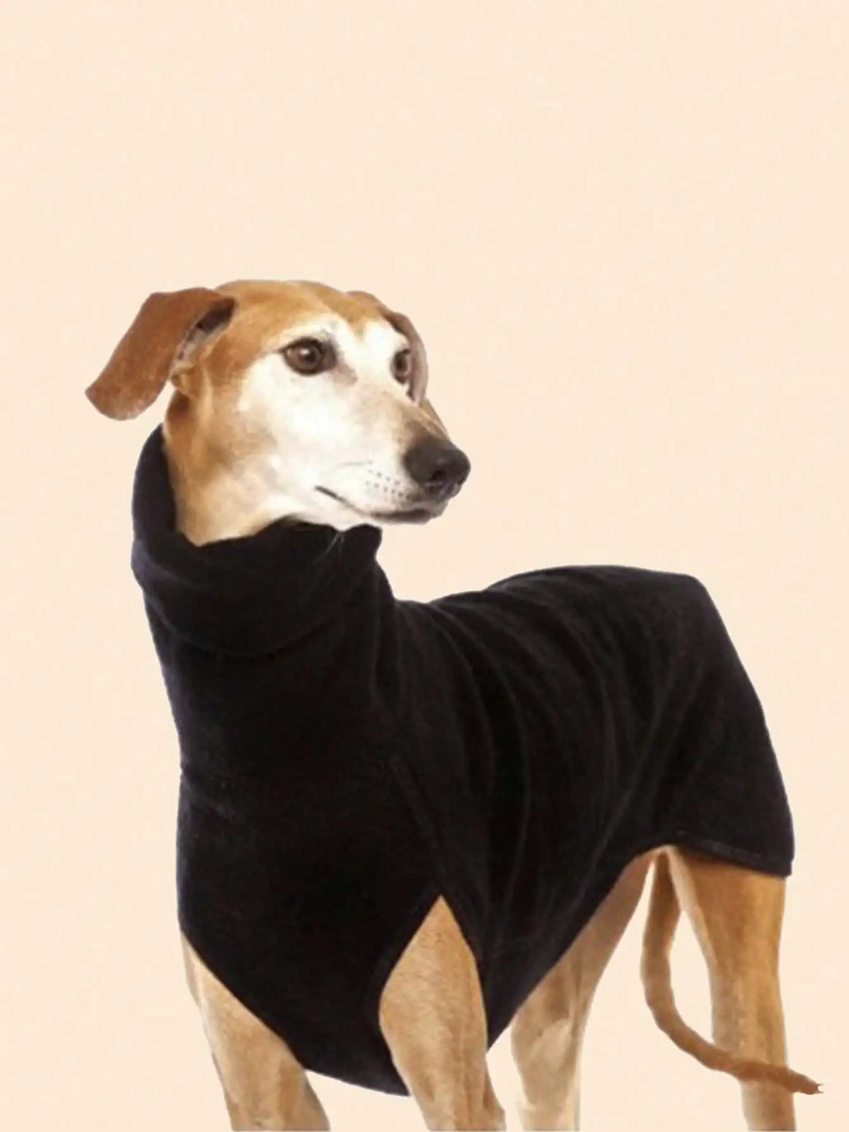 Greyhound Clothes, Dog Winter Coat Pajamas - MyPetDollar.com