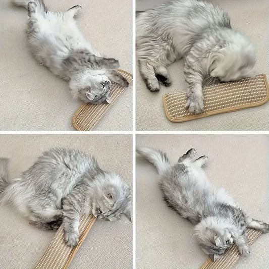 Cat Toy Game Pillow and Cat Scratching Pad - MyPetDollar.com