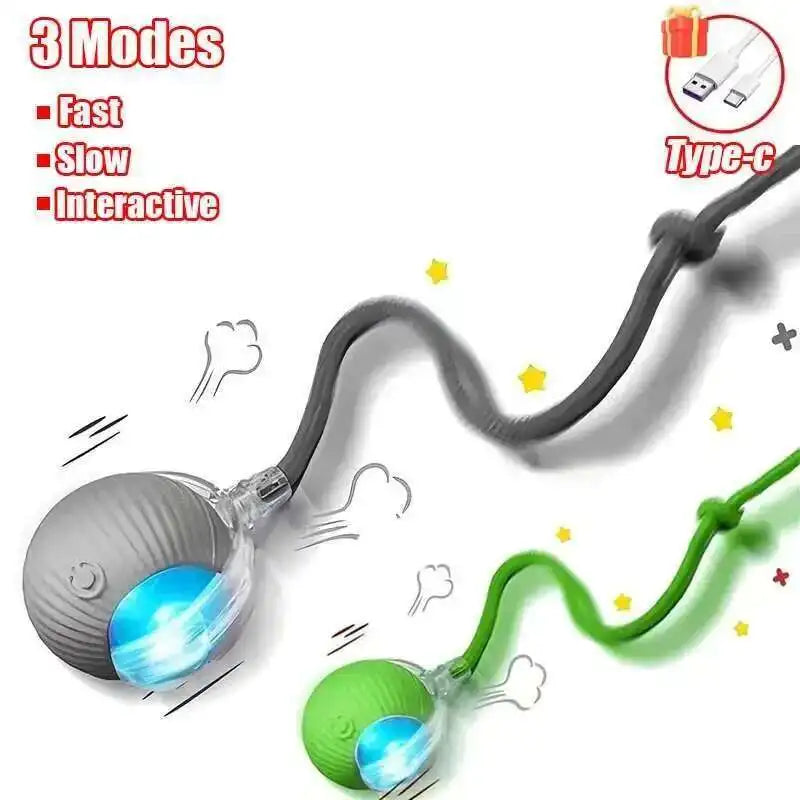 Smart Dog Interactive Ball Toys Automatic - MyPetDollar.com