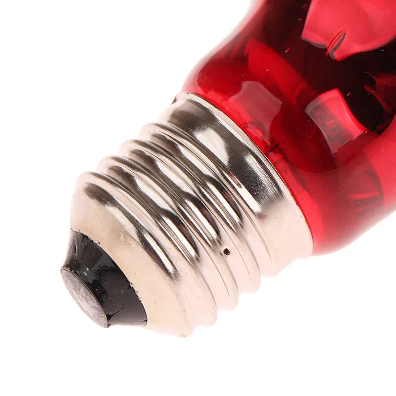 NEW 25/40/50/60/75/100W E27 UVA Poultry Bulb - MyPetDollar.com