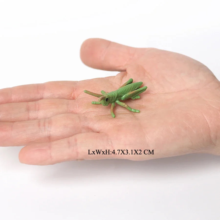Realistic Insect Grasshopper Mosquito Cicad - MyPetDollar.com