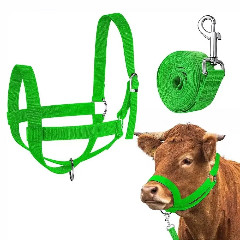 Adjustable Cow Halter with Lead Nylon - MyPetDollar.com