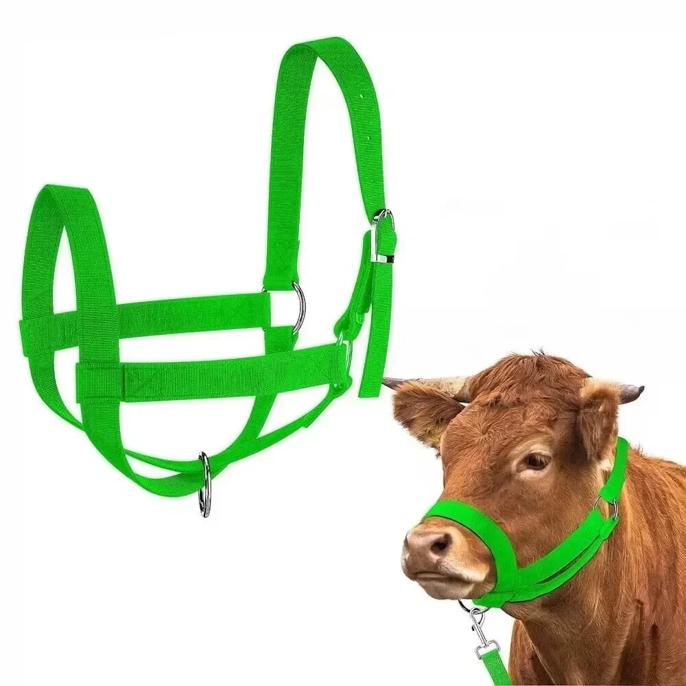 Adjustable Cow Halter with Lead Nylon - MyPetDollar.com