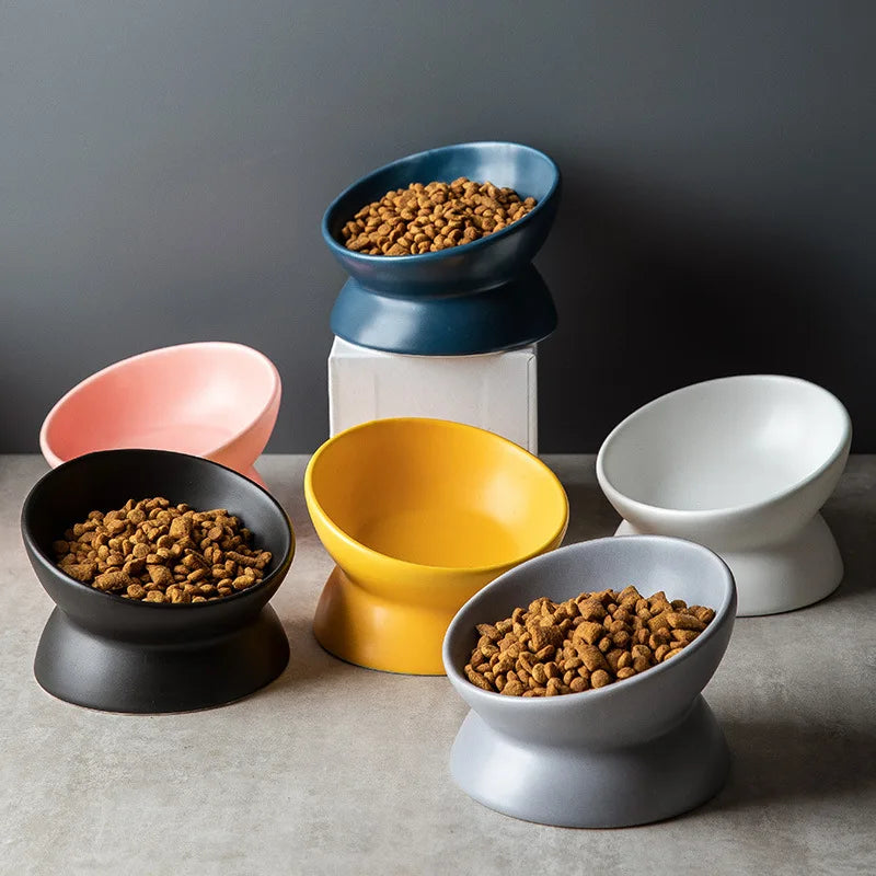 Elevated Cat Bowls Small Dog 15° Tilted - MyPetDollar.com