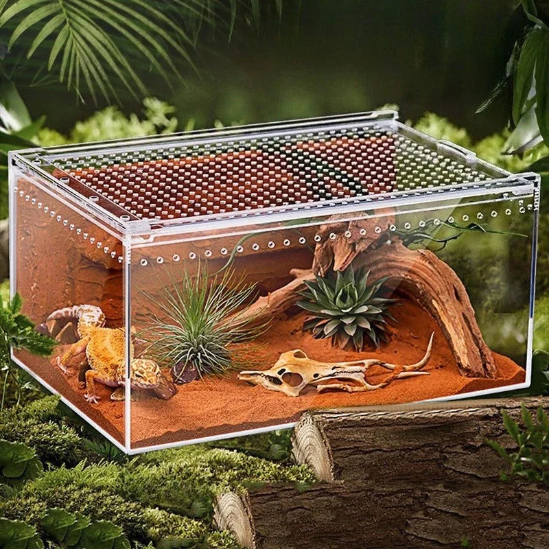 Acrylic Reptile Feeding Cage Horned Frog - MyPetDollar.com