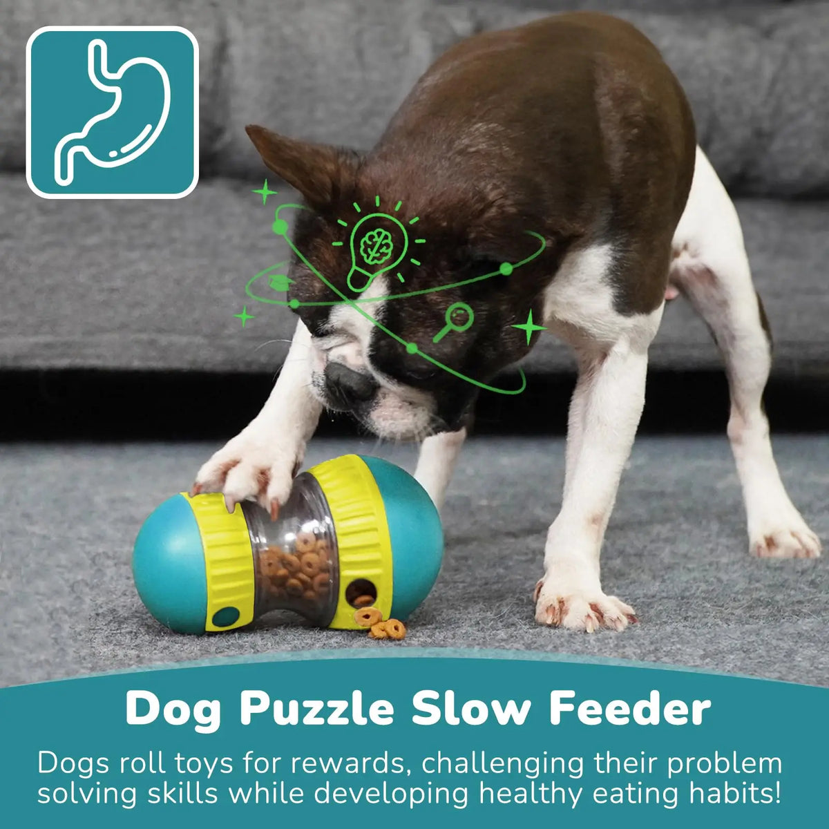 Dog Toy Improve IQ Interactive Puppy Toys - MyPetDollar.com