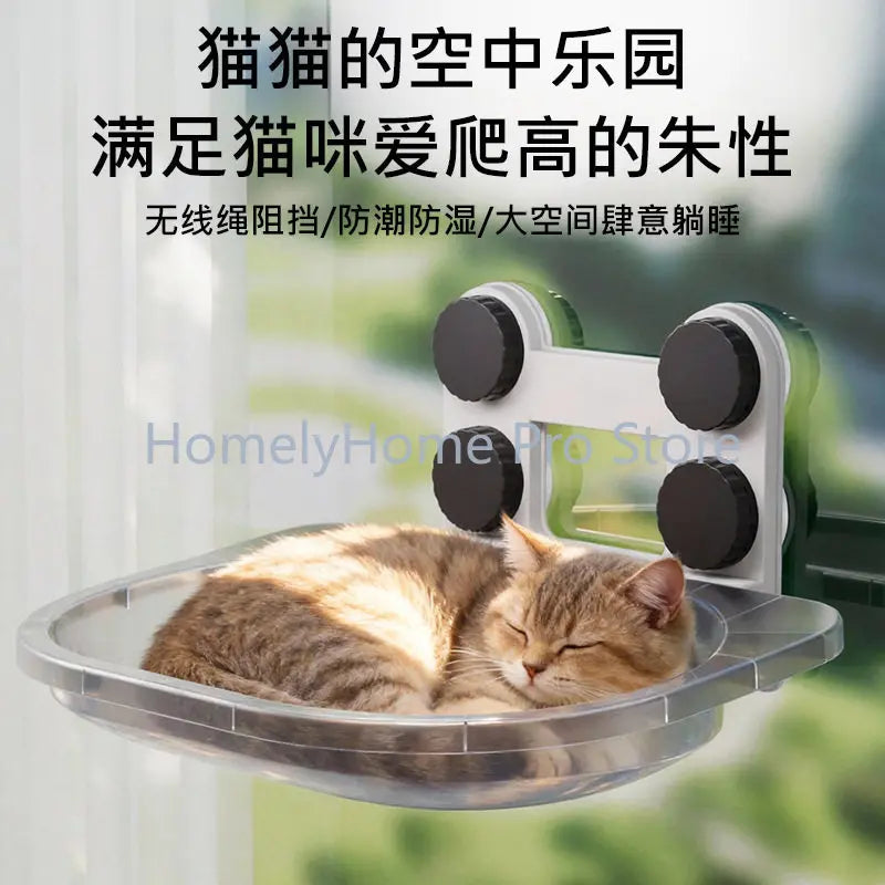 Cat hammock window glass suction cup cat - MyPetDollar.com
