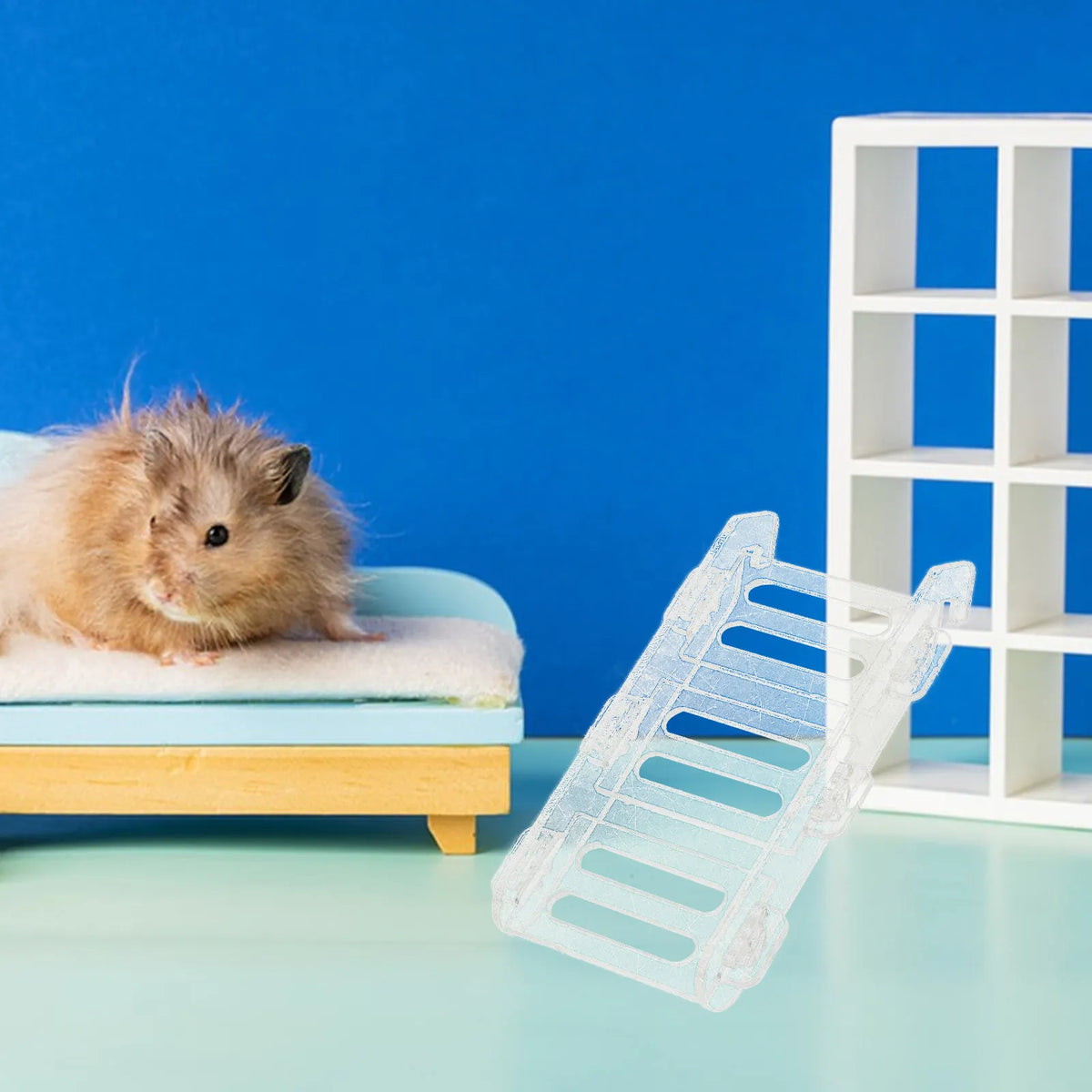 3Pcs Clear Acrylic Pet Climbing Ladder for - MyPetDollar.com