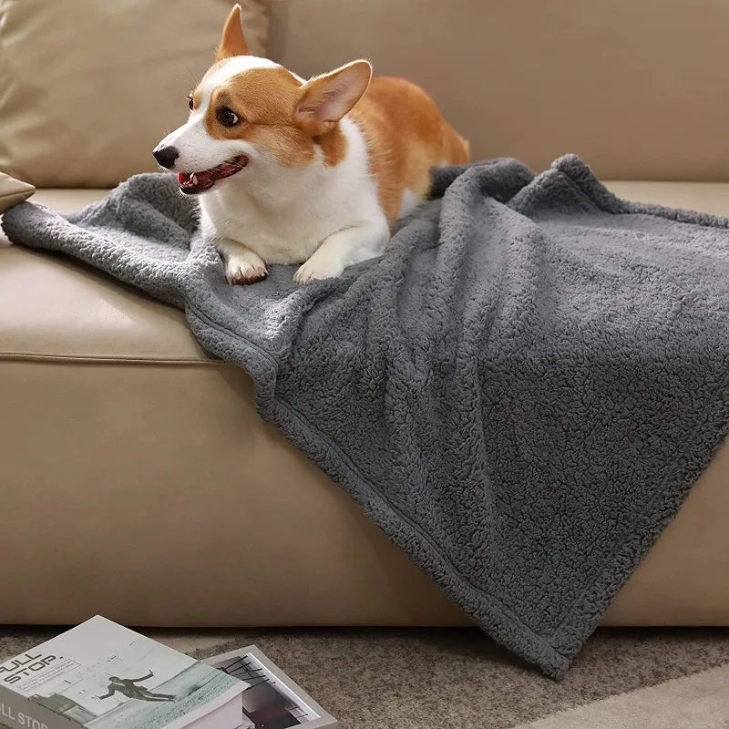 Luxury Fluffy Dog Blanket Era Soft and Warm - MyPetDollar.com